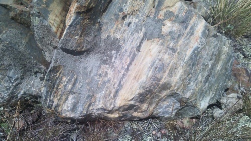 Гигантские зелёные валуны для ландшафтного дизайна весом более 5 тонн купить в Кыштыме