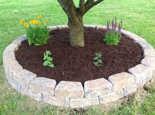 приствольные кольца