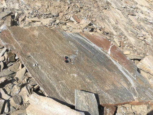 плитняк большой формат